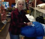 Volunteer Spotlight: Sue Gravino